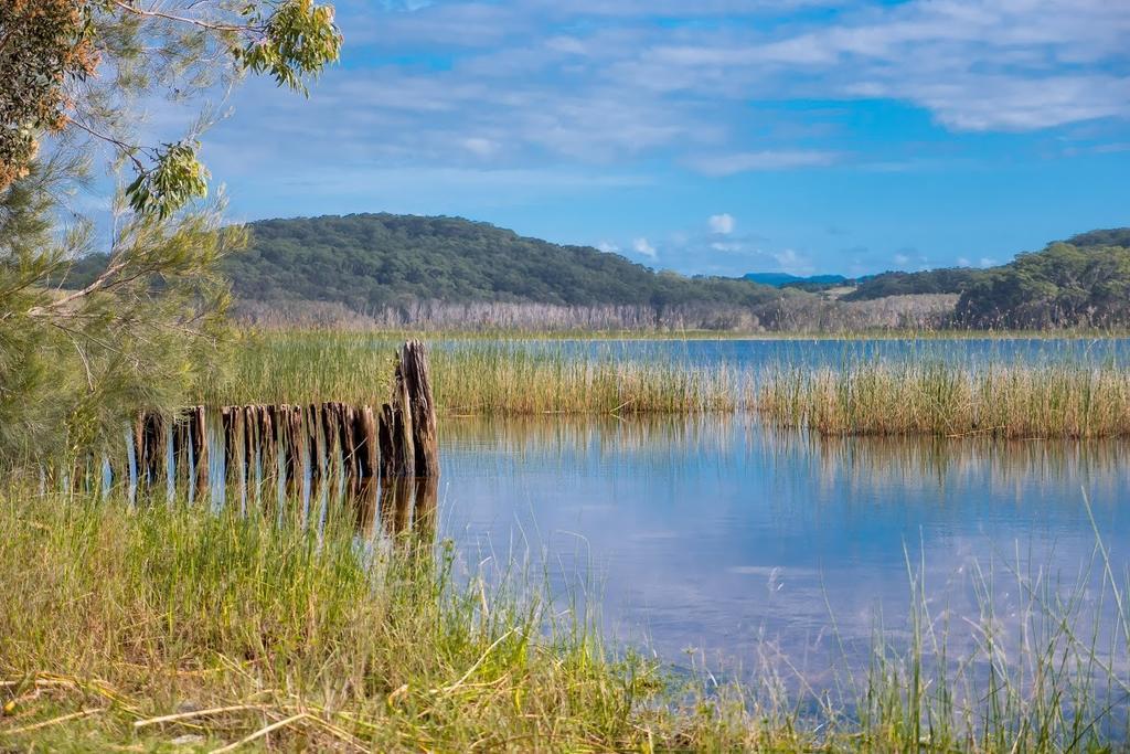 Cabarita Lake Apartments Кабарита-Бич Экстерьер фото